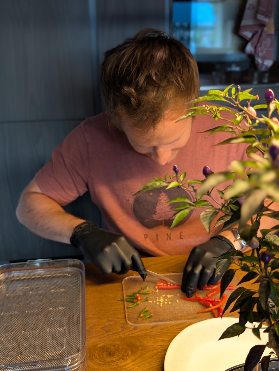 Silvio preparing chilli peppers in the kitchen with black gloves